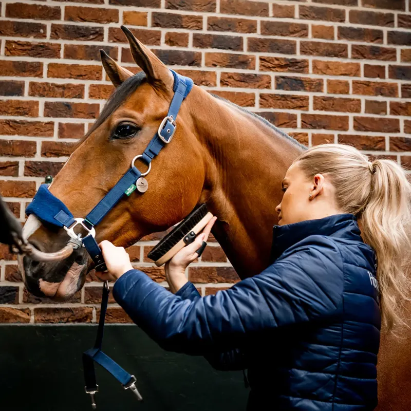 Horseware Signature Grooming Headcollar - Navy-1