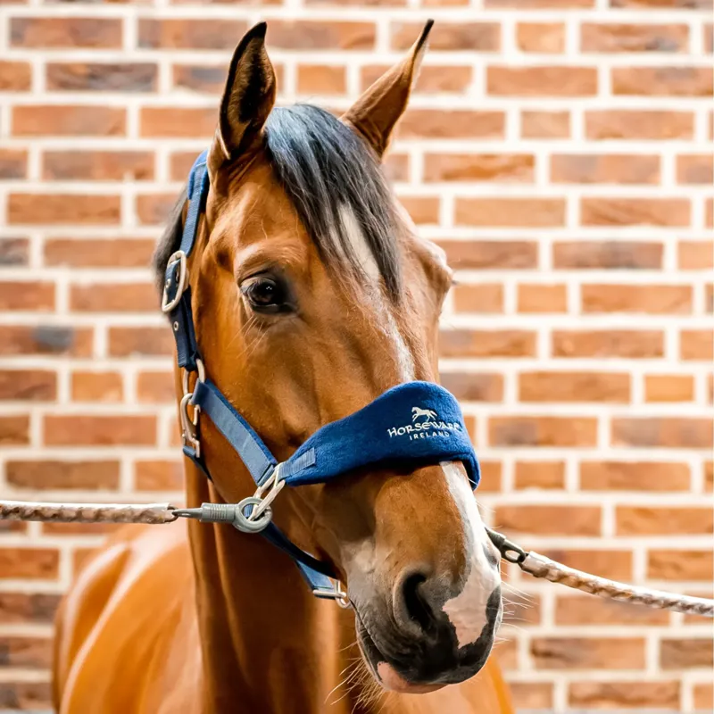 Horseware Signature Grooming Headcollar - Navy-3