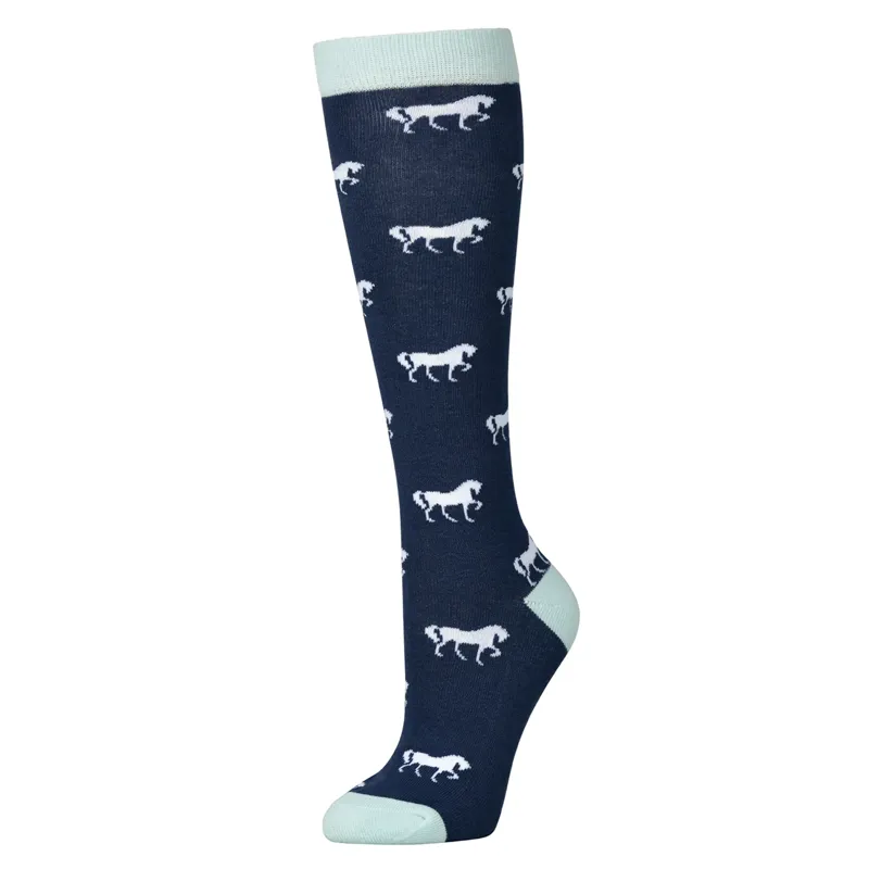 Dublin Single Pack Socks - Naval Academy/White Horses