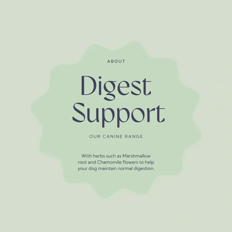 Hilton Herbs Canine Digest Support - 125g Tub-5