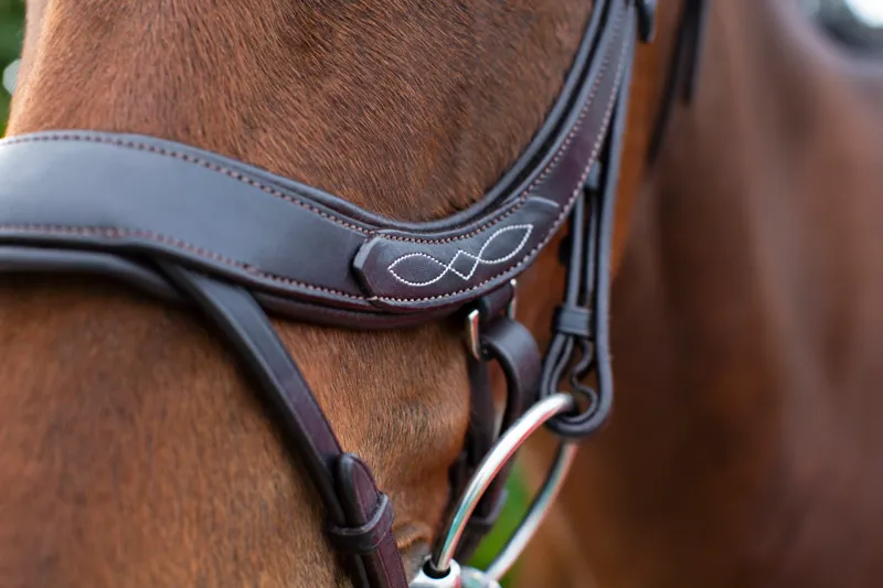 EcoRider Freedom Comfort Bridle - Black-4