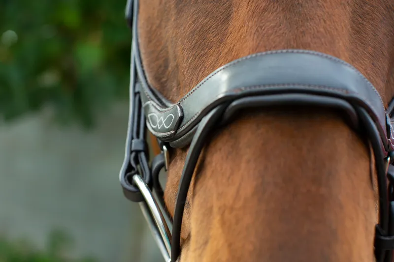 EcoRider Freedom Comfort Bridle - Black-3