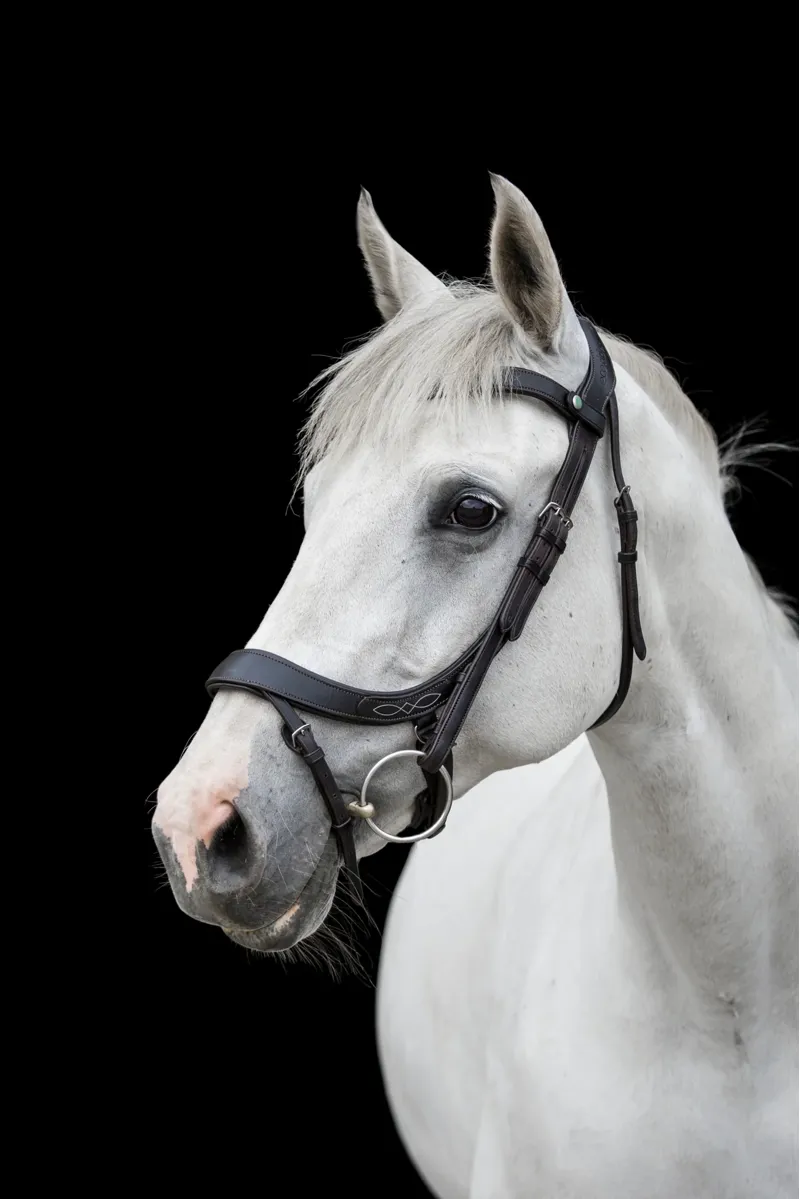 EcoRider Freedom Comfort Bridle - Brown