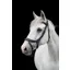 EcoRider Freedom Comfort Bridle - Brown