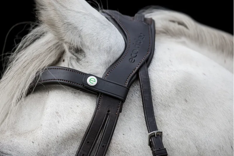 EcoRider Freedom Comfort Bridle - Brown-3
