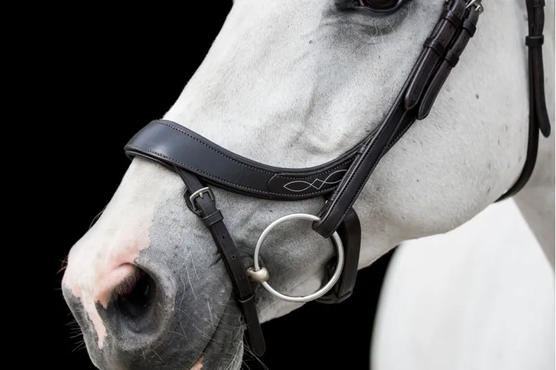 EcoRider Freedom Comfort Bridle - Brown-2