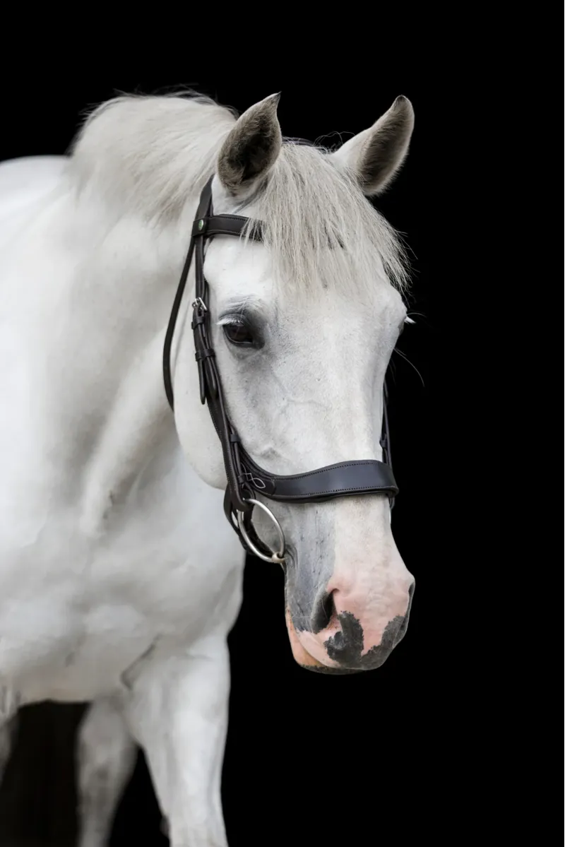 EcoRider Freedom Comfort Bridle - Brown-1