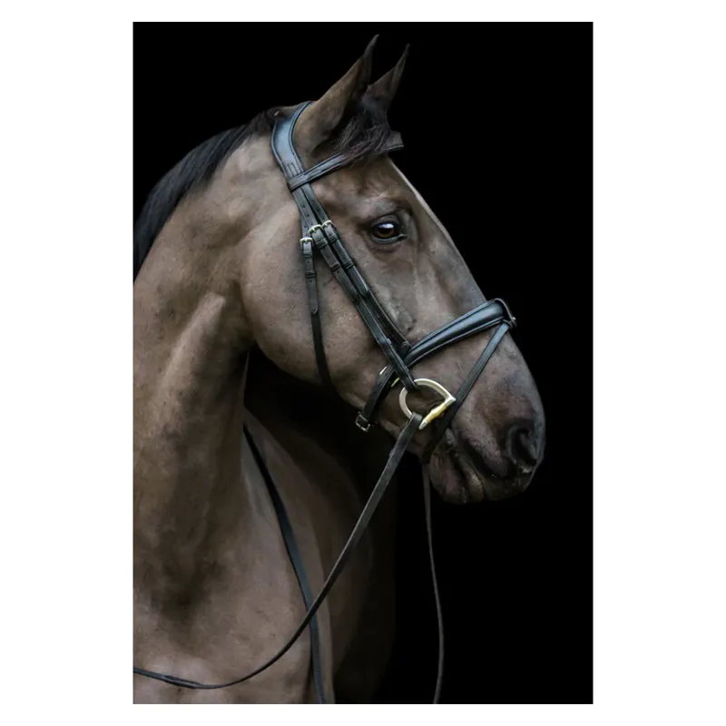 EcoRider Ecosoft Luxe Bridle - Brown-2