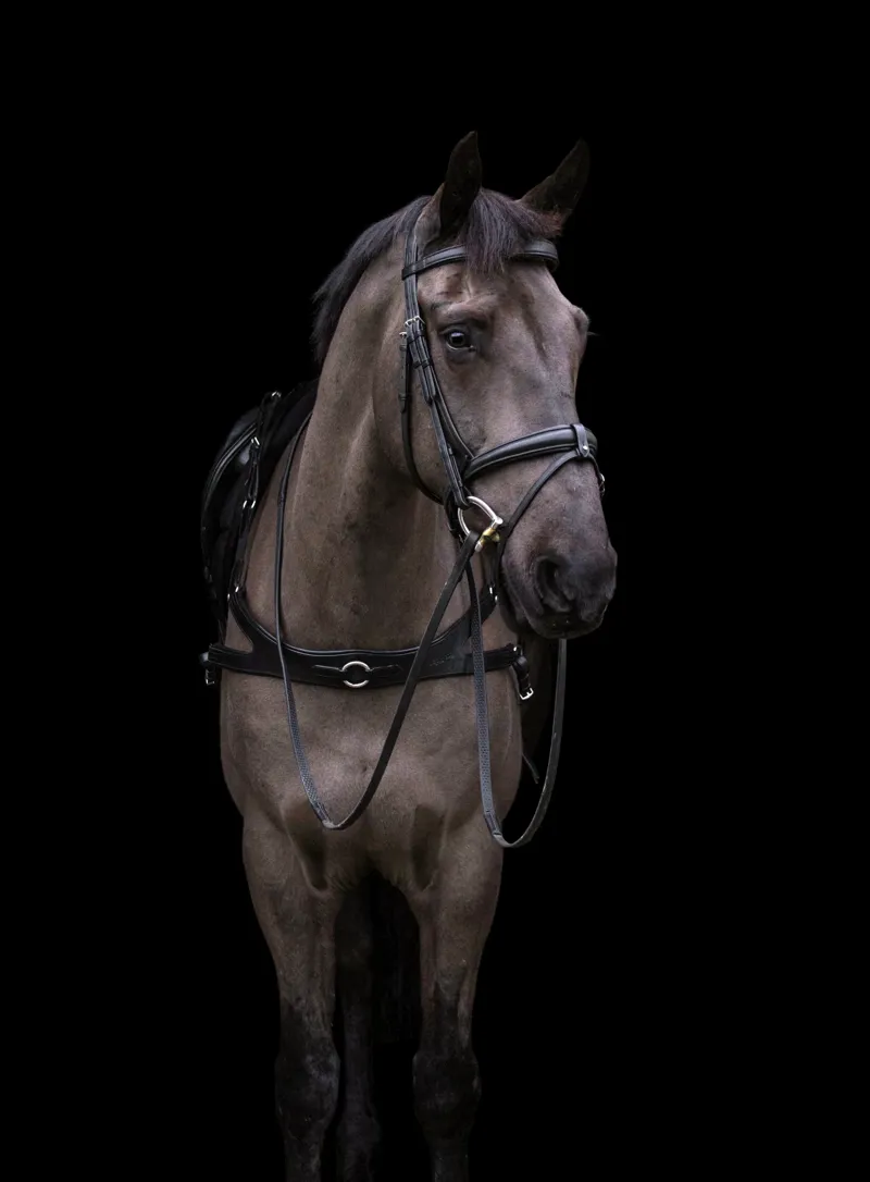 EcoRider Ecosoft Luxe Bridle - Brown-1