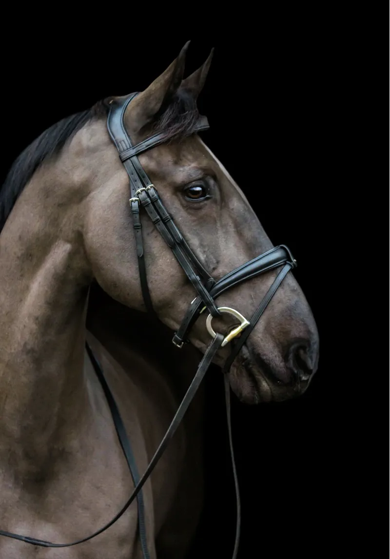 EcoRider Ecosoft Luxe Noseband - Black-1