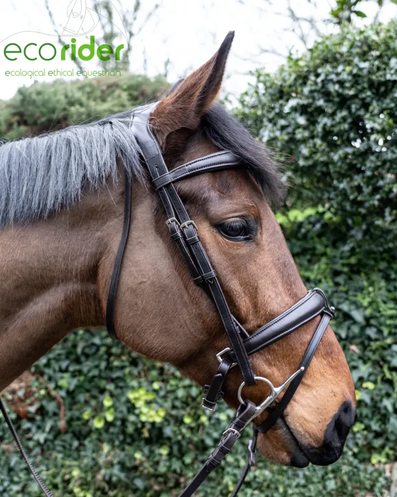 EcoRider Ecosoft Luxe Noseband - Brown