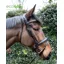 EcoRider Ecosoft Luxe Noseband - Brown