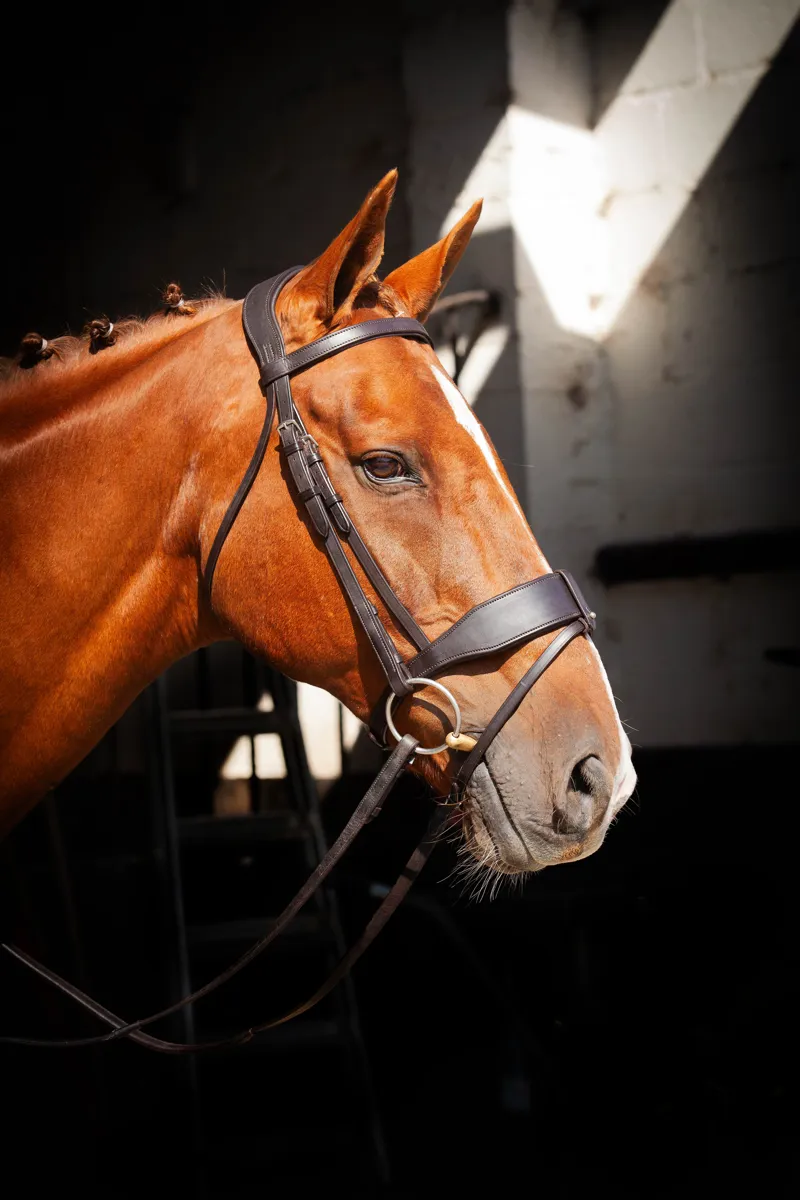 EcoRider Classic Show Comfort Bridle - Brown-2