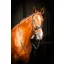 EcoRider Classic Show Comfort Bridle - Brown