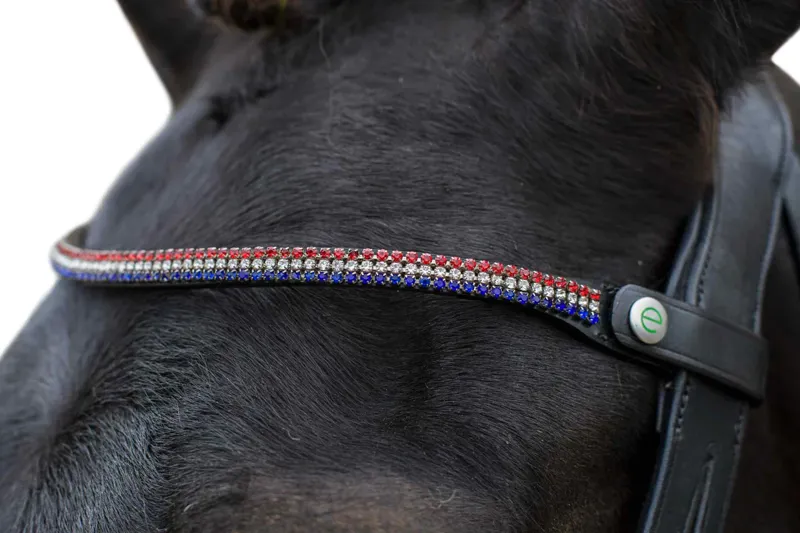 EcoRider Freedom Victoria Browband - Black