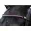 EcoRider Freedom Victoria Browband - Black