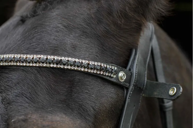 EcoRider Freedom Juliette Browband - Black-1