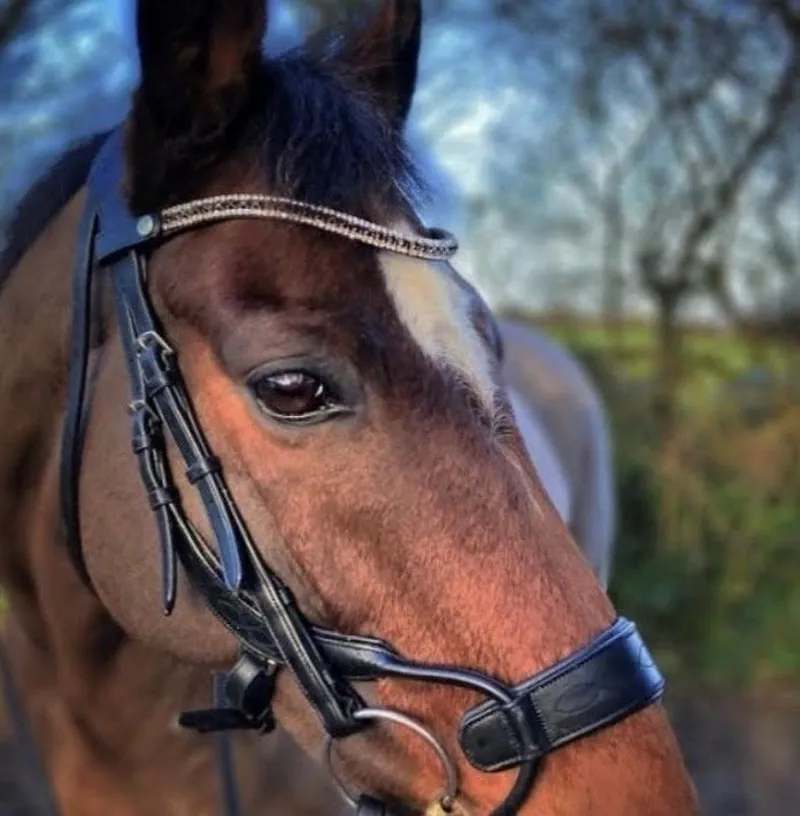 EcoRider Freedom Juliette Browband - Brown