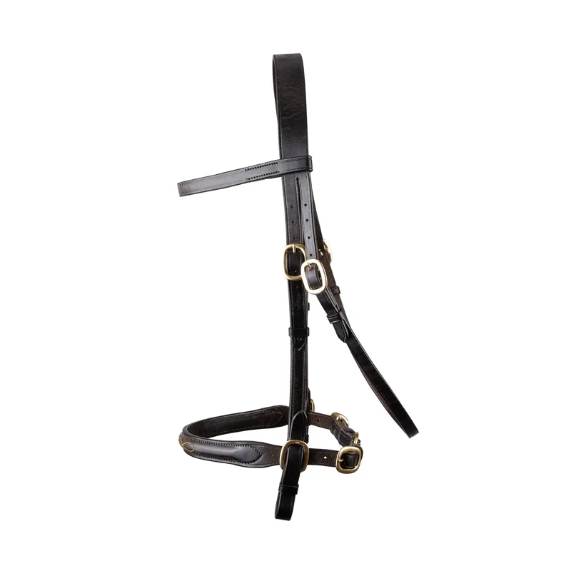 EcoRider Classic Inhand Bridle - Brown