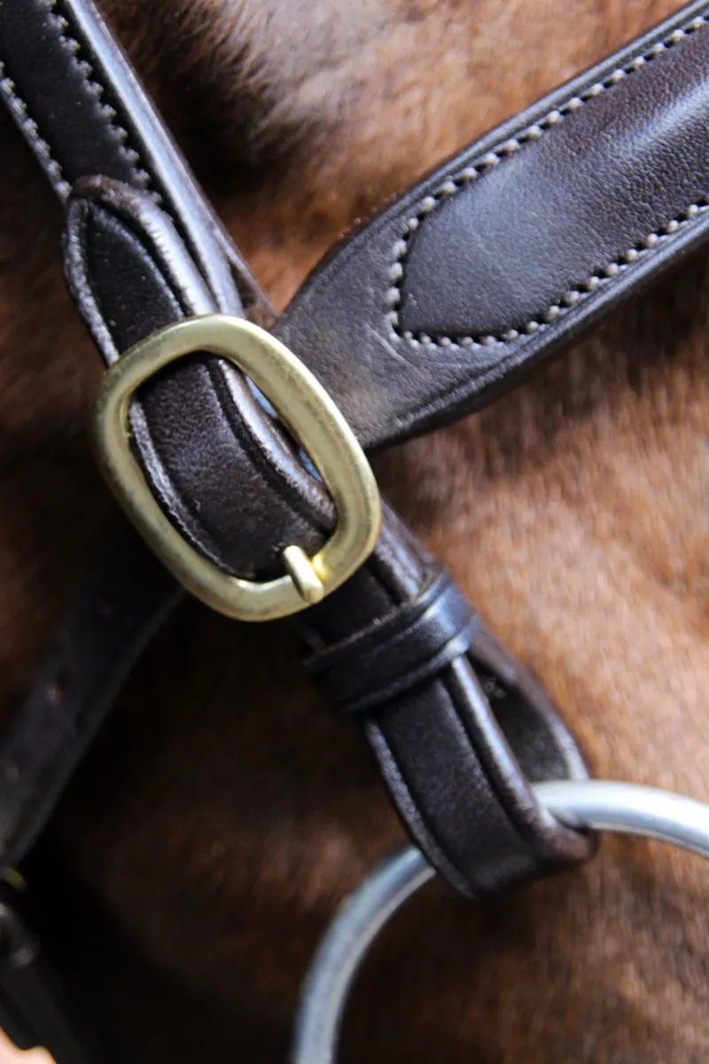EcoRider Classic Inhand Bridle - Brown-2