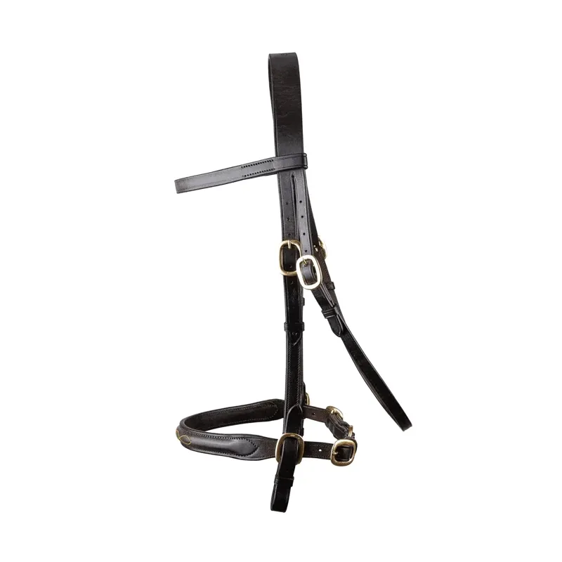 EcoRider Classic Inhand Bridle - Brown-1