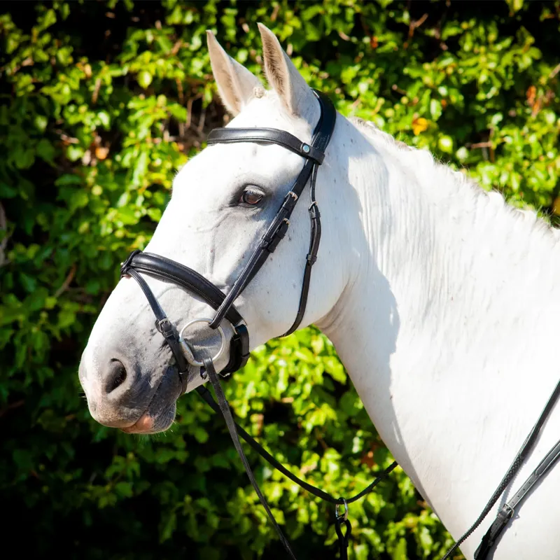 EcoRider Claddagh Bridle - Black-1