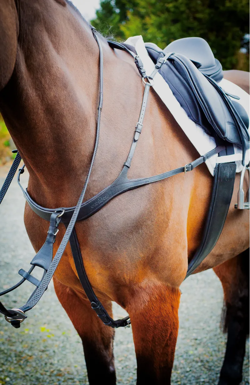 EcoRider Tara Breastplate - Black-1