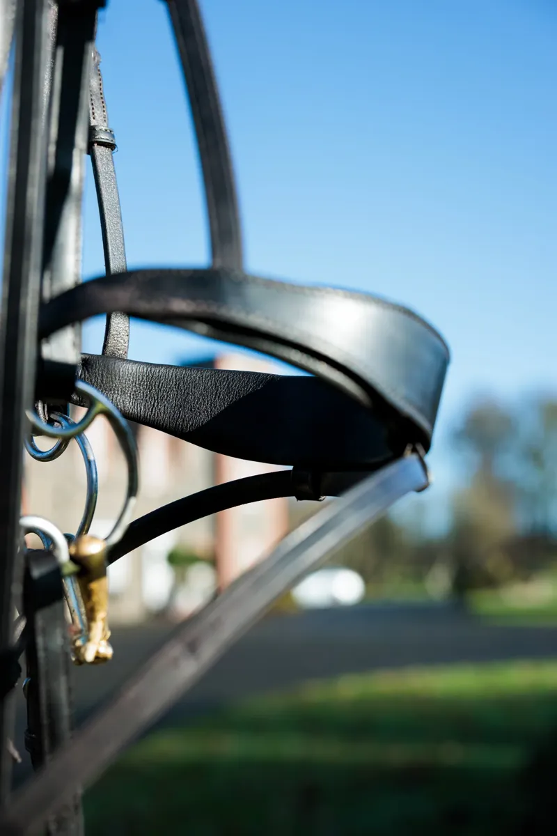 EcoRider Seamfree Show Bridle - Black-1
