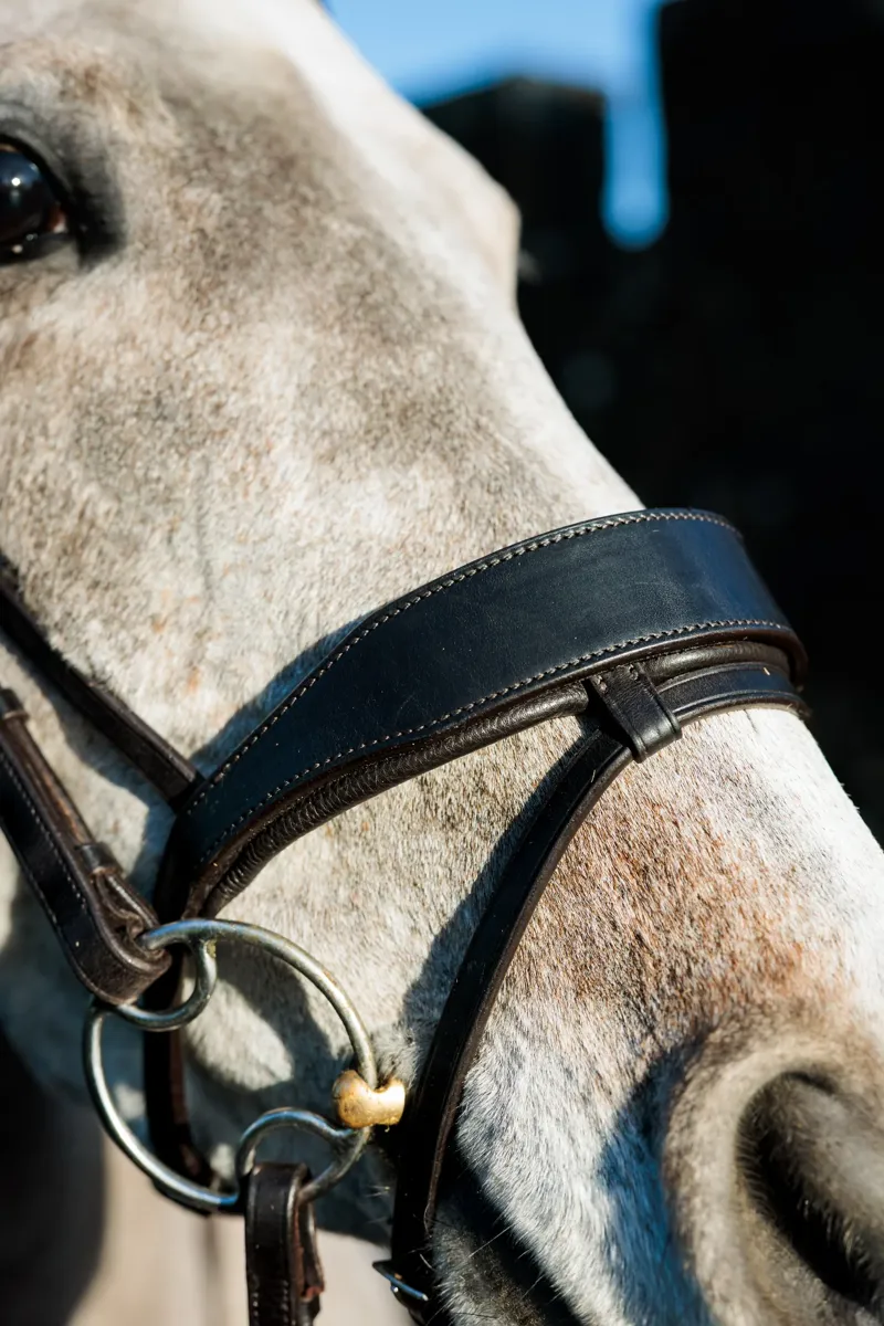 EcoRider Seamfree Show Bridle - Brown-3