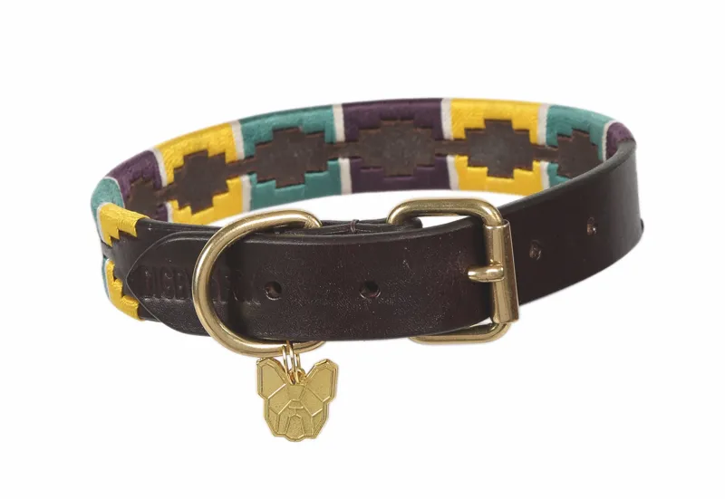 Shires Digby and Fox Dover Polo Dog Collar - Yellow/Dark Green/Purple