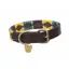 Shires Digby and Fox Dover Polo Dog Collar - Yellow/Dark Green/Purple