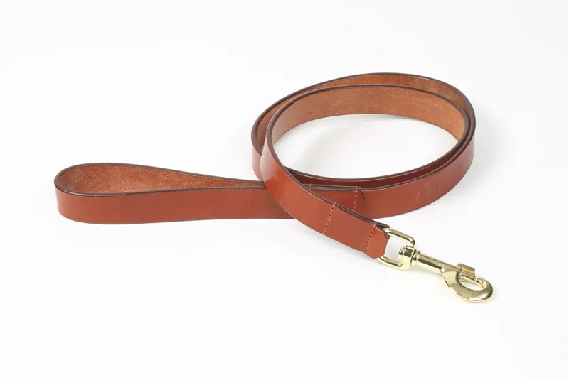 Shires Digby and Fox Flat Leather Dog Lead - Tan