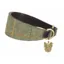 Shires Digby and Fox Tweed Greyhound Collar - Red/Yellow/Blue Check