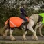 Equi Light Ride On LED Hi Vis Exercise Sheet - Orange