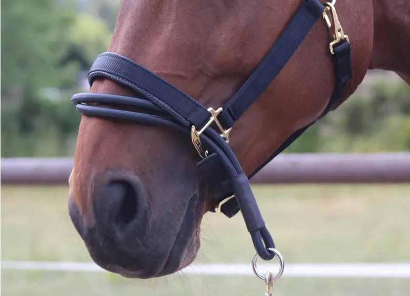 KM Elite Ezyloader Headcollar Adaptor - One Size