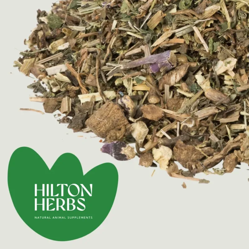 Hilton Herbs Equimmune Immune Support - 1kg-1