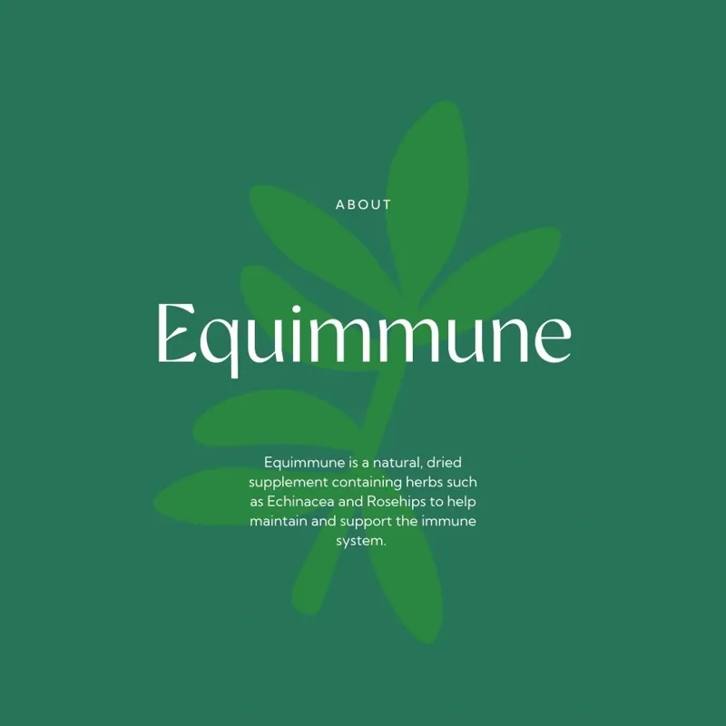 Hilton Herbs Equimmune Immune Support - 1kg-4