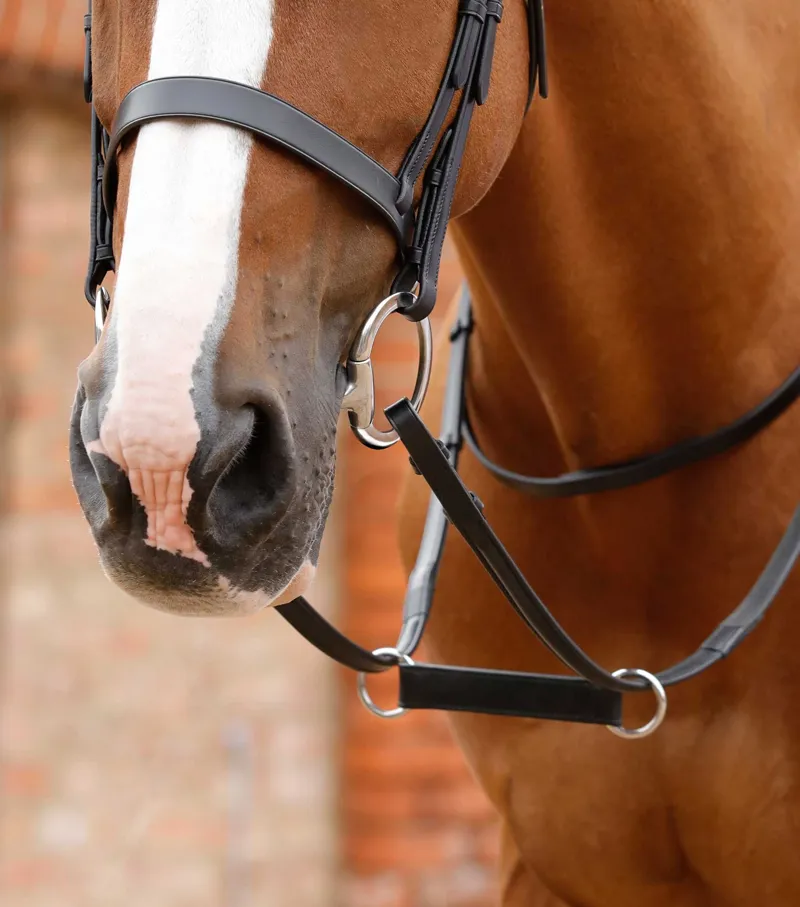 Premier Equine Esperia Irish Martingale - Black - Full-1