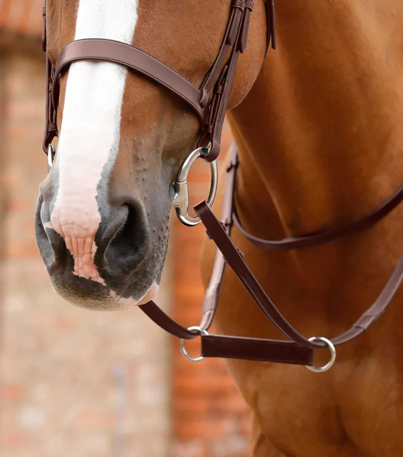 Premier Equine Esperia Irish Martingale - Brown - Full-1