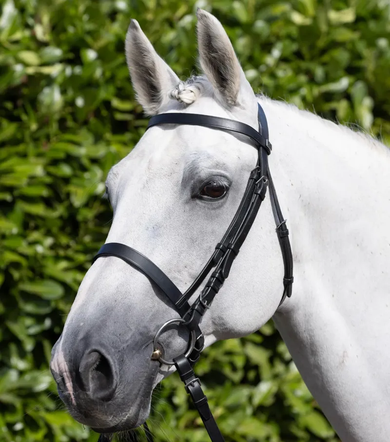 Premier Equine Exercise / Racing Bridle with Plain Caveson Noseband - Black-5