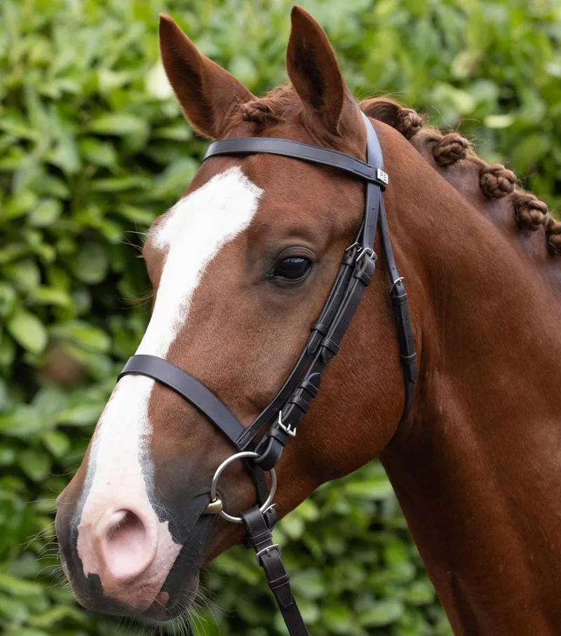 Premier Equine Exercise / Racing Bridle with Plain Caveson Noseband - Dark Havana-5