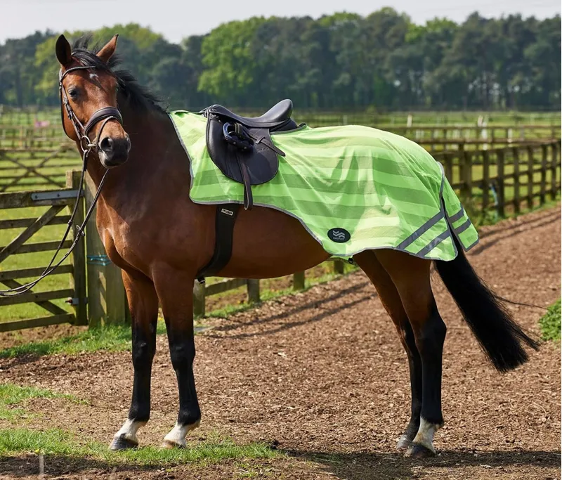 Firefoot Reflective Exercise Sheet - Yellow