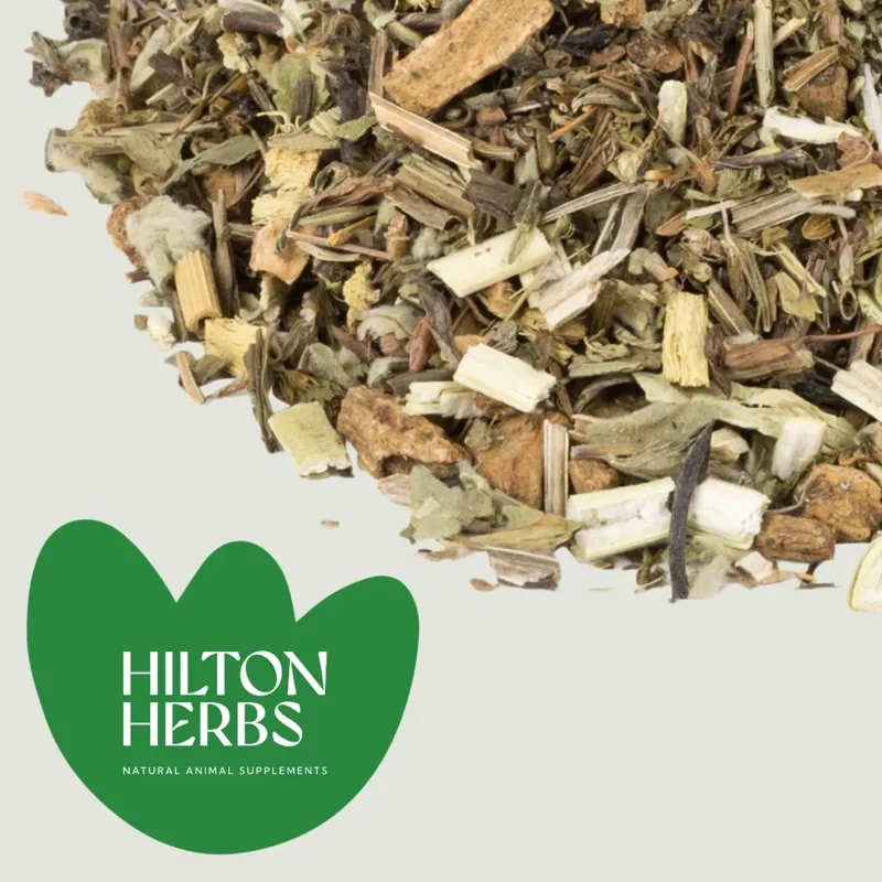 Hilton Herbs Freeway Airway Support Powder - 1kg-3