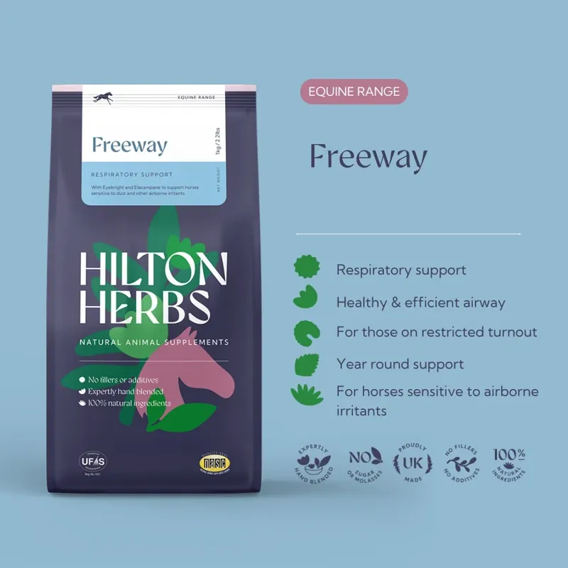 Hilton Herbs Freeway Airway Support Powder - 1kg-1