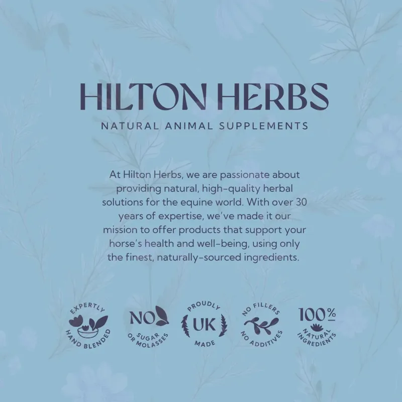 Hilton Herbs Freeway Airway Support Powder - 1kg-7