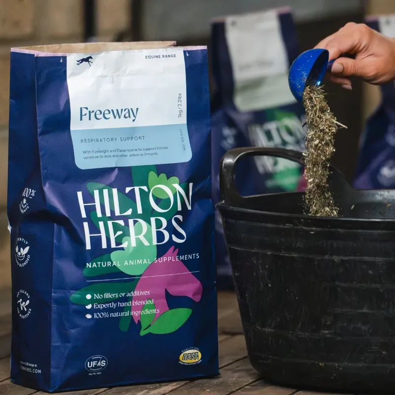 Hilton Herbs Freeway Airway Support Powder - 1kg-2