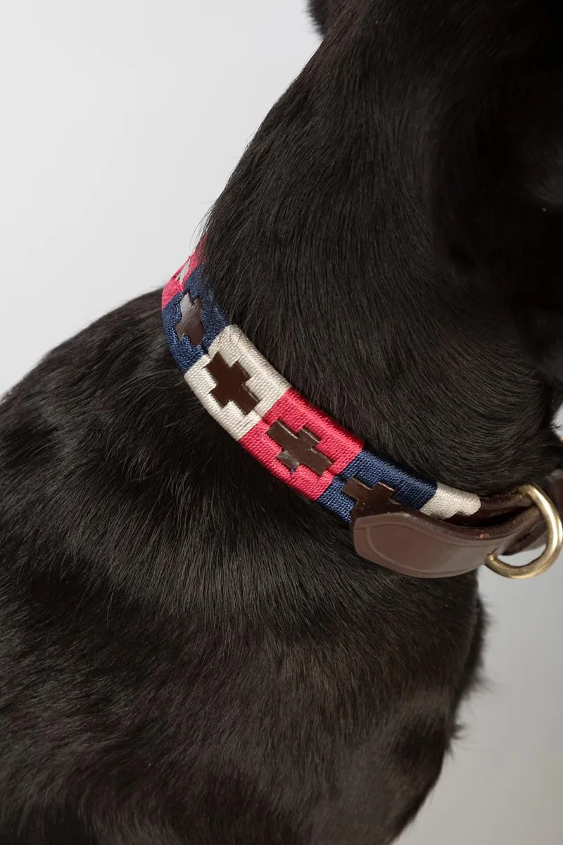 Rydale Polo Belt Dog Collar - Navy/Bonbon/Vanilla-3
