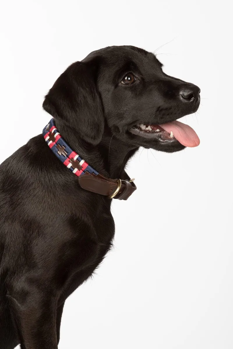 Rydale Polo Belt Dog Collar - Bonbon/Navy/White-2