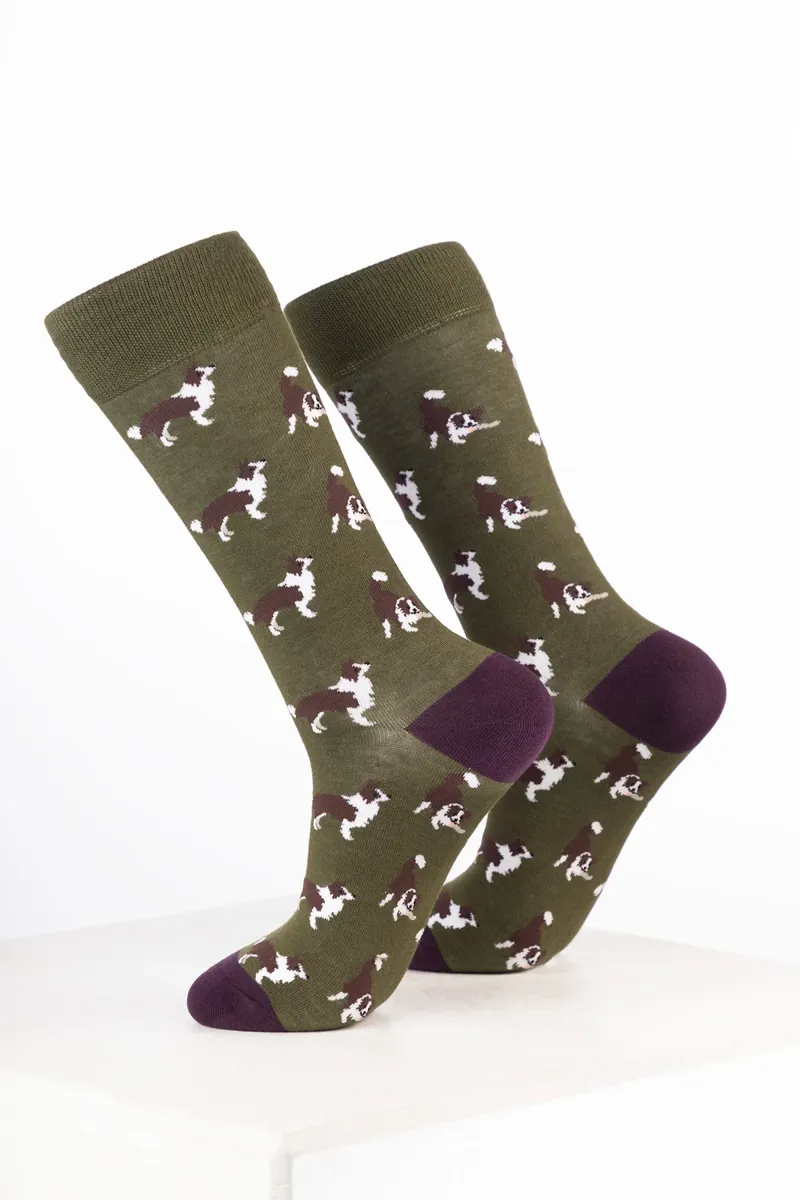 Rydale Women's Bamboo Rich Dog Ankle Socks Pack of 10 - Border Collie Dark Olive-1