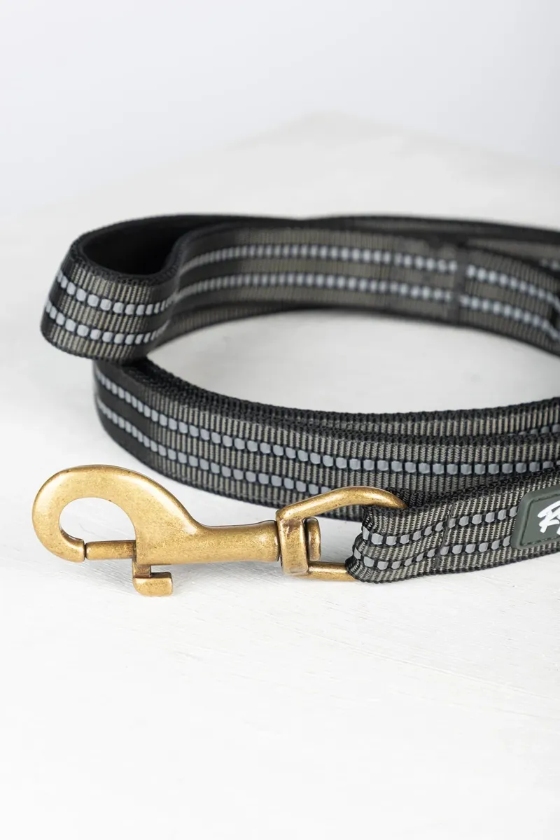 Rydale Reflective Yapham Dog Lead - Blue-3